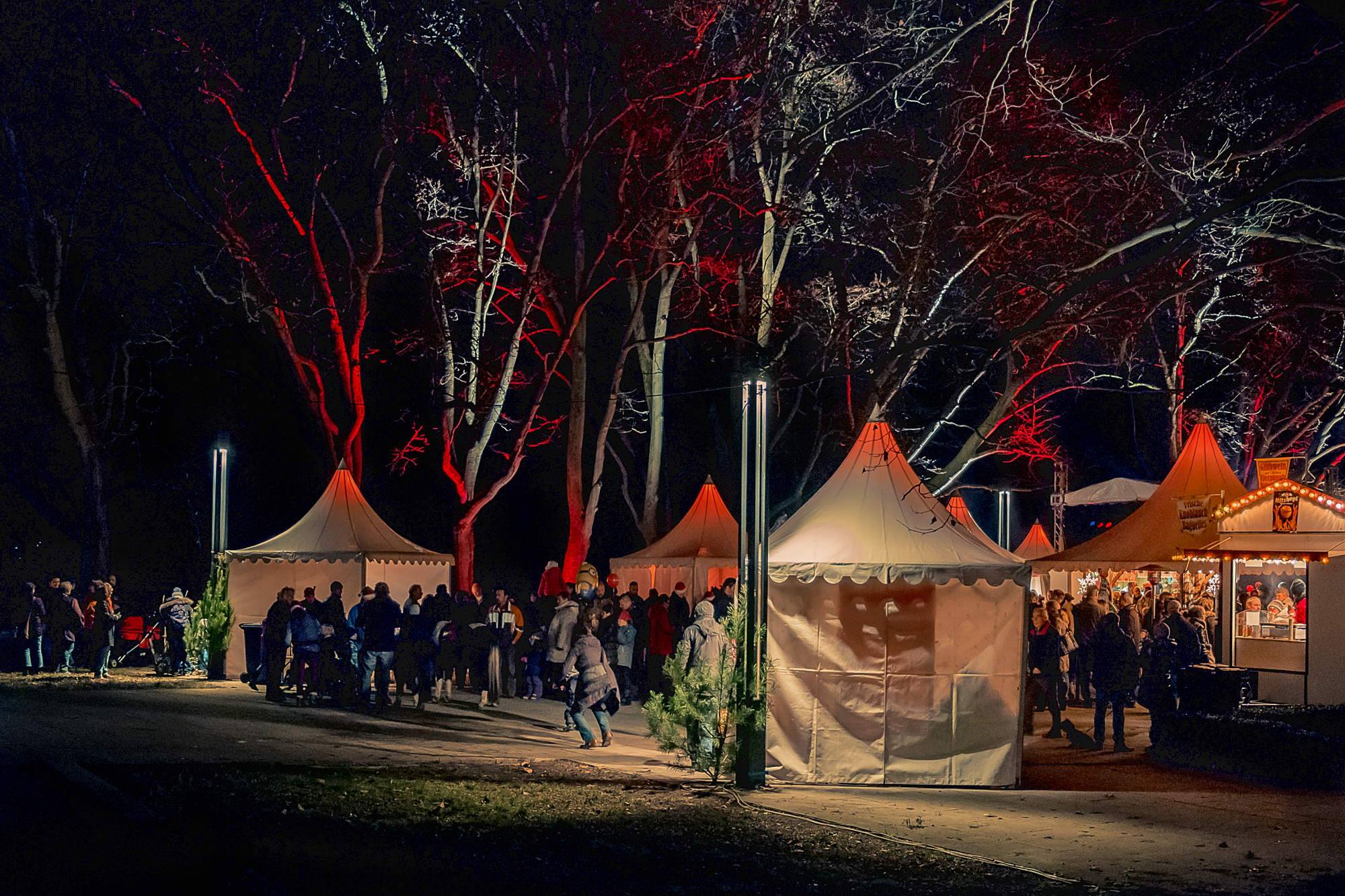 Wildauer Weihnachtsfeuer 2014 Wildauer Weihnachtsfeuer 2014